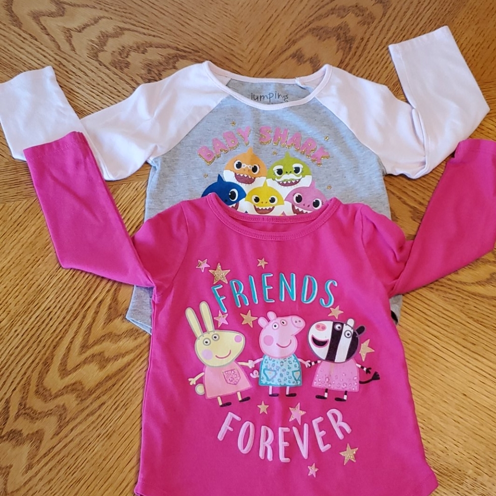 (2) 2T Toddler girl long sleeve shirts